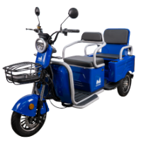 Електрическа Триколка за Пътници с Двойна Седалка Bendis TRCC1200 EvoTools®
