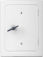 Боядисана Коминна Вратичка